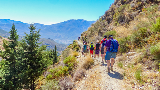 Hiking with friends and teammates on a trail