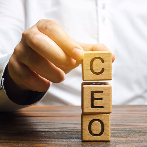 CEO Leadership Capacity Quiz | Lead2Goals